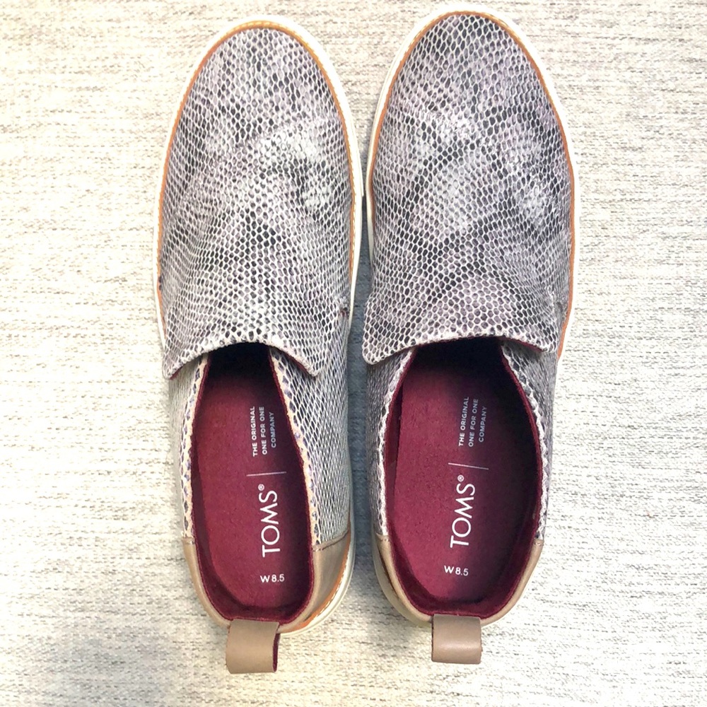 TOMS Shoes Paxton Cobblestone Snake 8.5